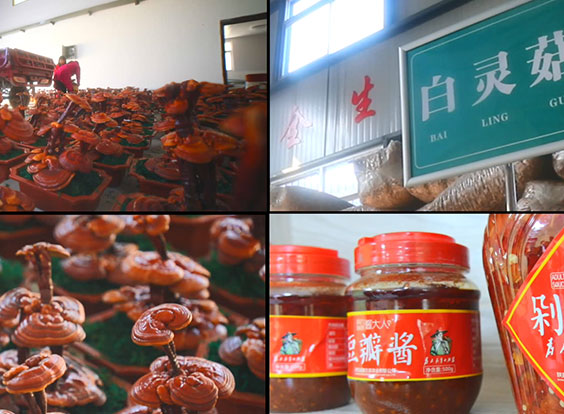 營(yíng)養(yǎng)